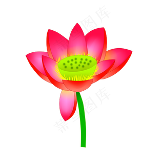 一朵盛开的荷花PNG图案