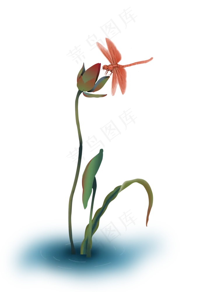 水里的荷花和蜻蜓(2000X2837(DPI:300))psd模版下载