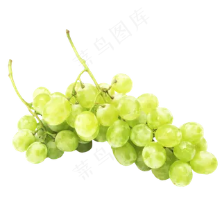 夏日提子青提葡萄