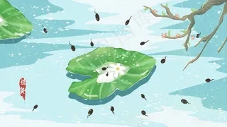 二十四节气惊蛰春天蝌蚪