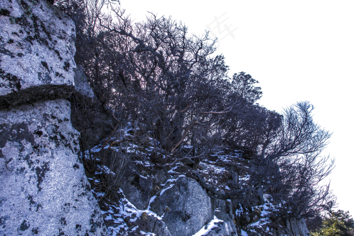 高耸如云植被茂密的大山(2400X1600(DPI:300))psd模版下载