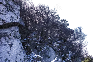 高耸如云植被茂密的大山