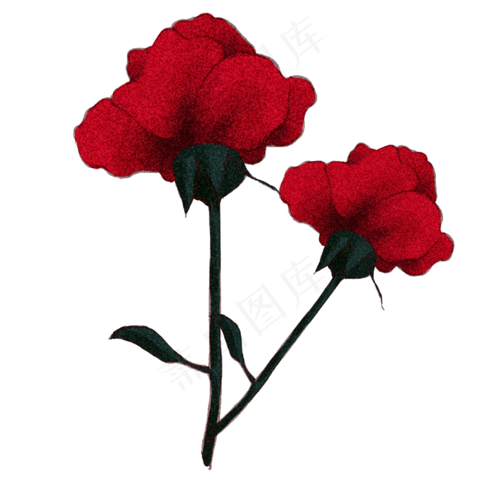 花朵玫瑰花情人节
