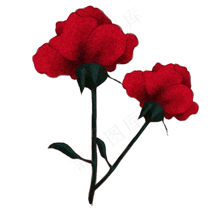 花朵玫瑰花情人节