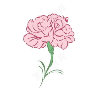 浅粉色的康乃馨免抠素材