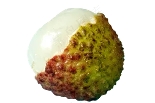 水果绿色红色剥开荔枝,免抠元素