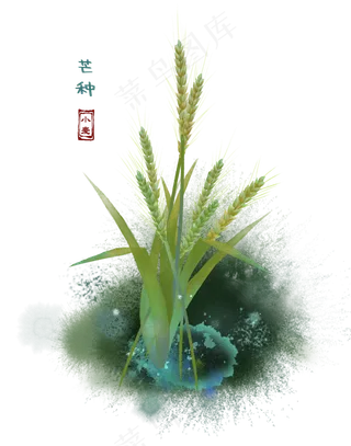 二十四节气芒种