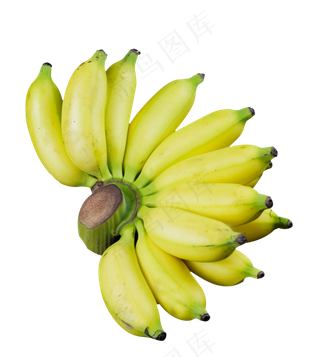 水果小米蕉芭蕉香蕉