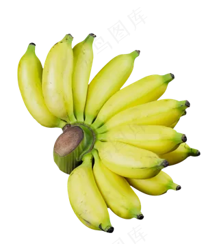 水果小米蕉芭蕉香蕉