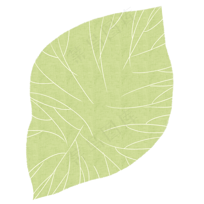 绿色的自然叶子植物(2000X2000(DPI:300))psd模版下载