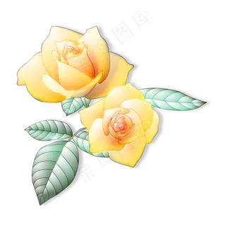 一对黄色的玫瑰