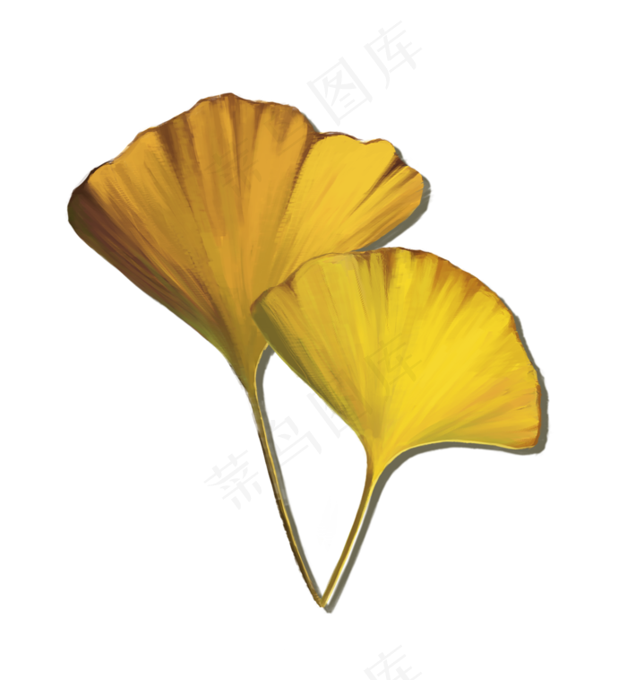 秋日银杏叶手绘图案素材