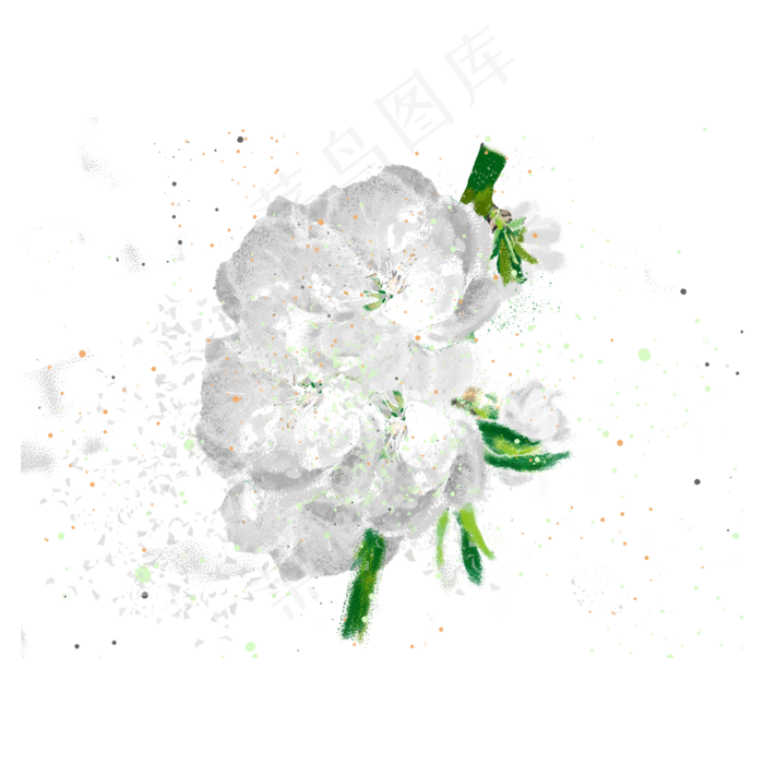 白色荼蘼花手绘花卉