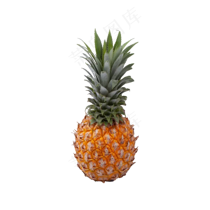 菠萝（png免抠）(2000X2000(DPI:300))psd模版下载