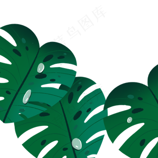 春天植物绿叶下载