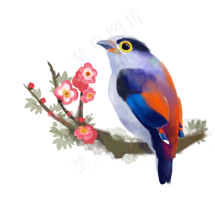 手绘水彩动物植物鸟与花卉,免抠元素(3000*3000px 150 dpi )psd模版下载