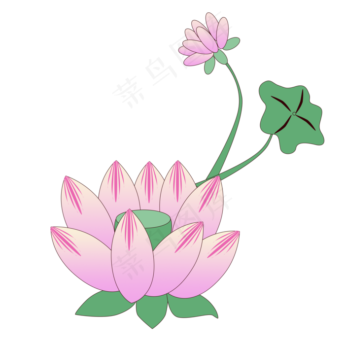 夏季荷花png素材