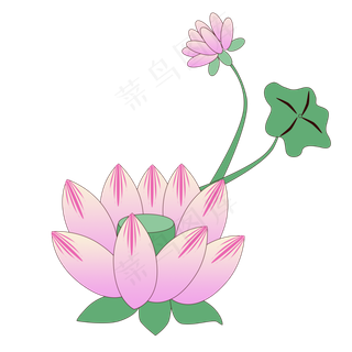 夏季荷花png素材