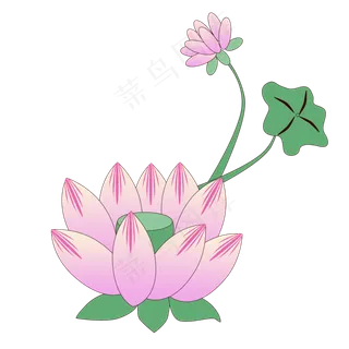 夏季荷花png素材