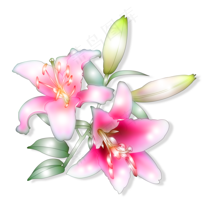 两朵绽放的红色花