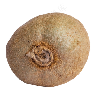 一个水果猕猴桃