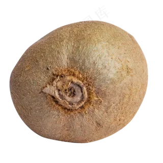 一个水果猕猴桃 一个水果猕猴桃