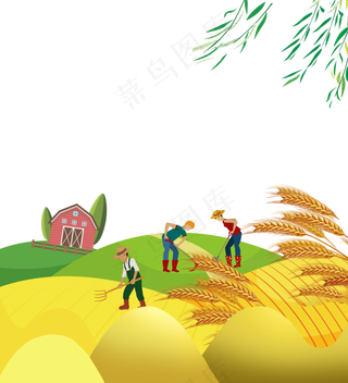 免抠金黄色芒种节气