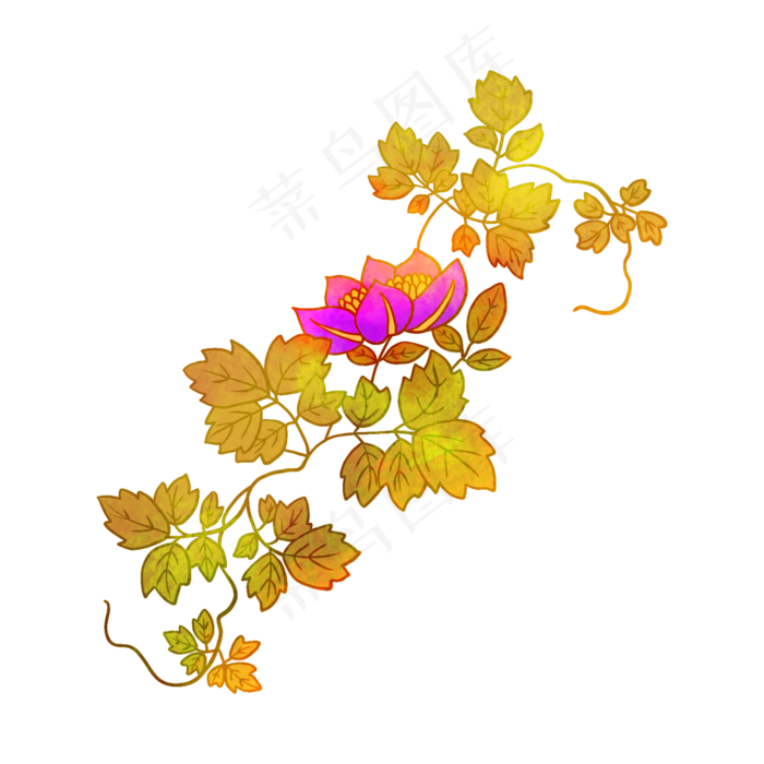 美丽花藤卡通插画