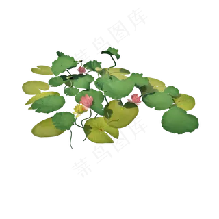 立体荷花池png图