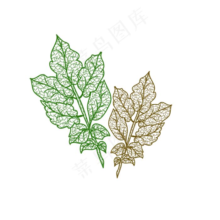 手绘边框绿植装饰纹理脉络树叶(2000X2000(DPI:300))psd模版下载