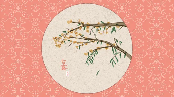 白露时节龙眼果挂满枝头