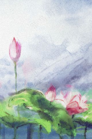 中国风水墨立夏24节气荷花夏天风景