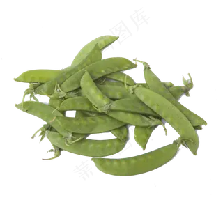 新鲜的荷兰豆免扣图,免抠元素