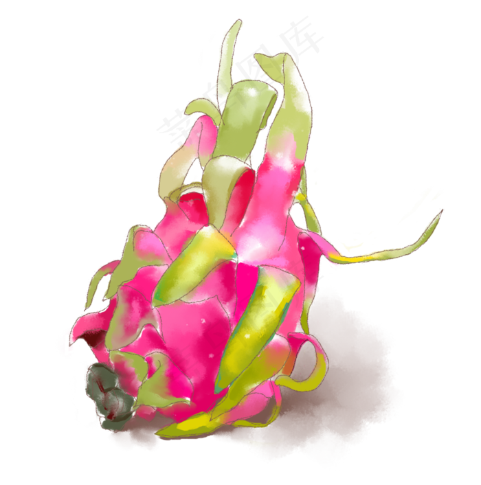 水彩小清新水果玫红色火龙果