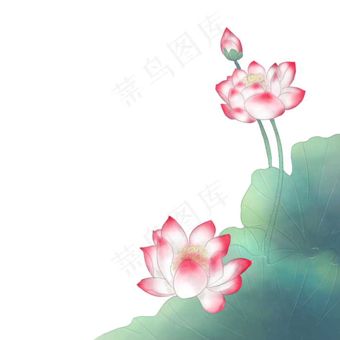中国风粉色荷花绿色荷叶(2000X2000(DPI:300))psd模版下载