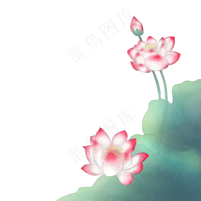 中国风粉色荷花绿色荷叶(2000X2000(DPI:300))psd模版下载