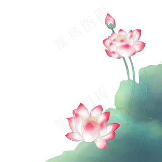 中国风粉色荷花绿色荷叶