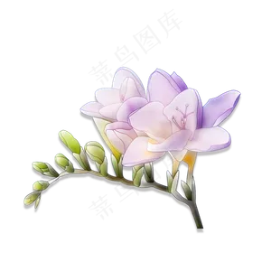 紫色花朵绿色嫩芽