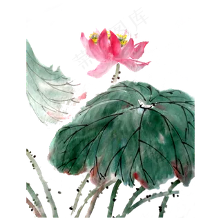 荷叶荷花国画水墨PNG写意夏