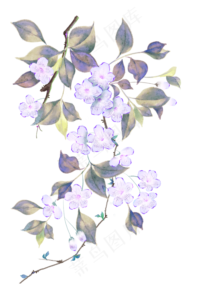 水彩花卉花朵(2480X3508(DPI:300))psd模版下载