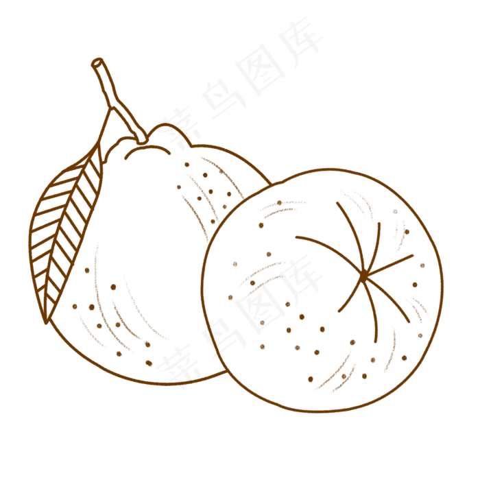 线描水果橘子
