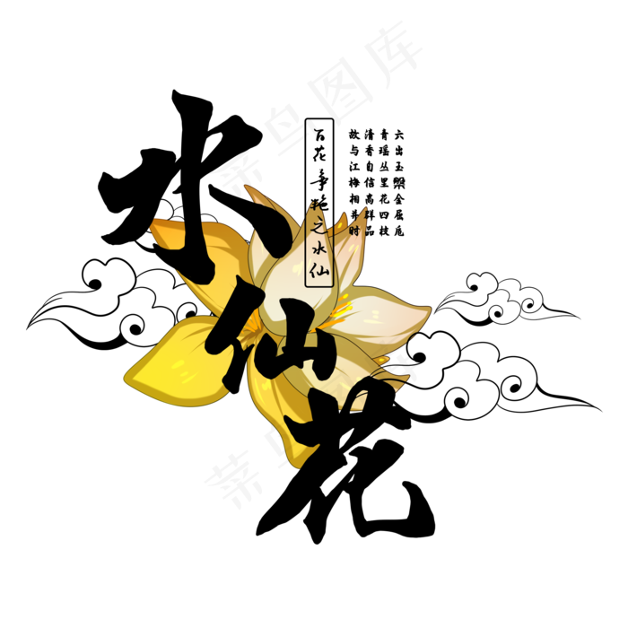 古风百花系列之水仙花(2000X2000(DPI:150))psd模版下载