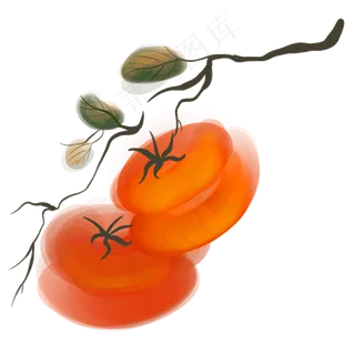 中国风水墨柿子,免抠元素