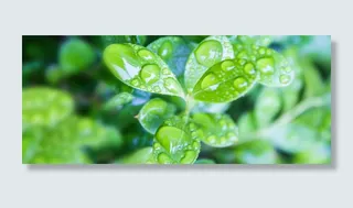 二十四节气大暑小暑