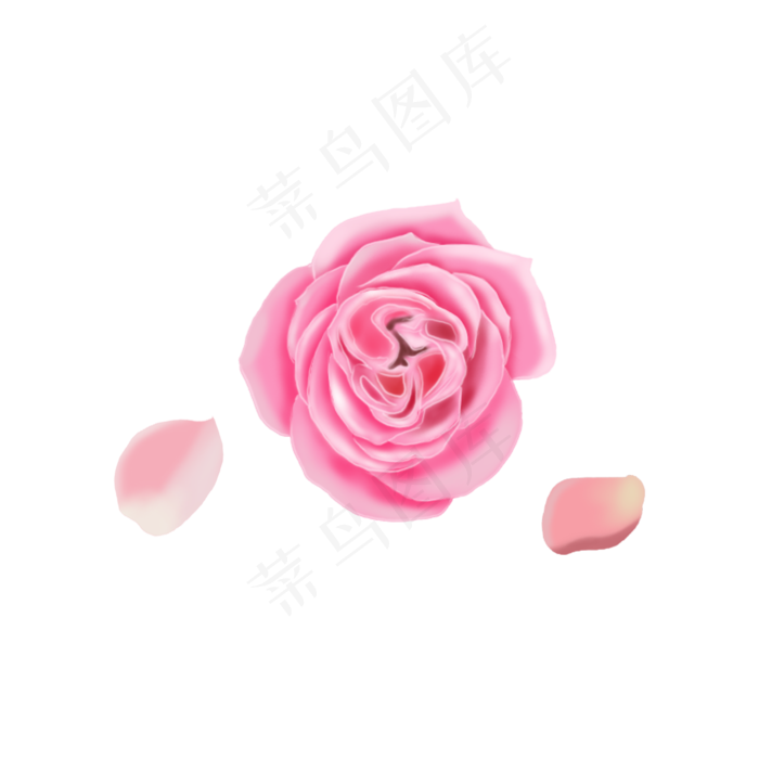 粉色玫瑰花瓣漂浮素材免费下载