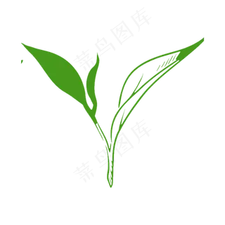 茶叶装饰图案发芽,免抠元素