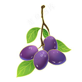 新中式国潮风水果提子