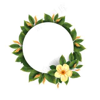 夏天暑假夏至植物装饰素材