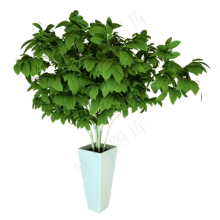 园林植物装修空气,免抠元素