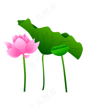 手绘卡通粉色莲花